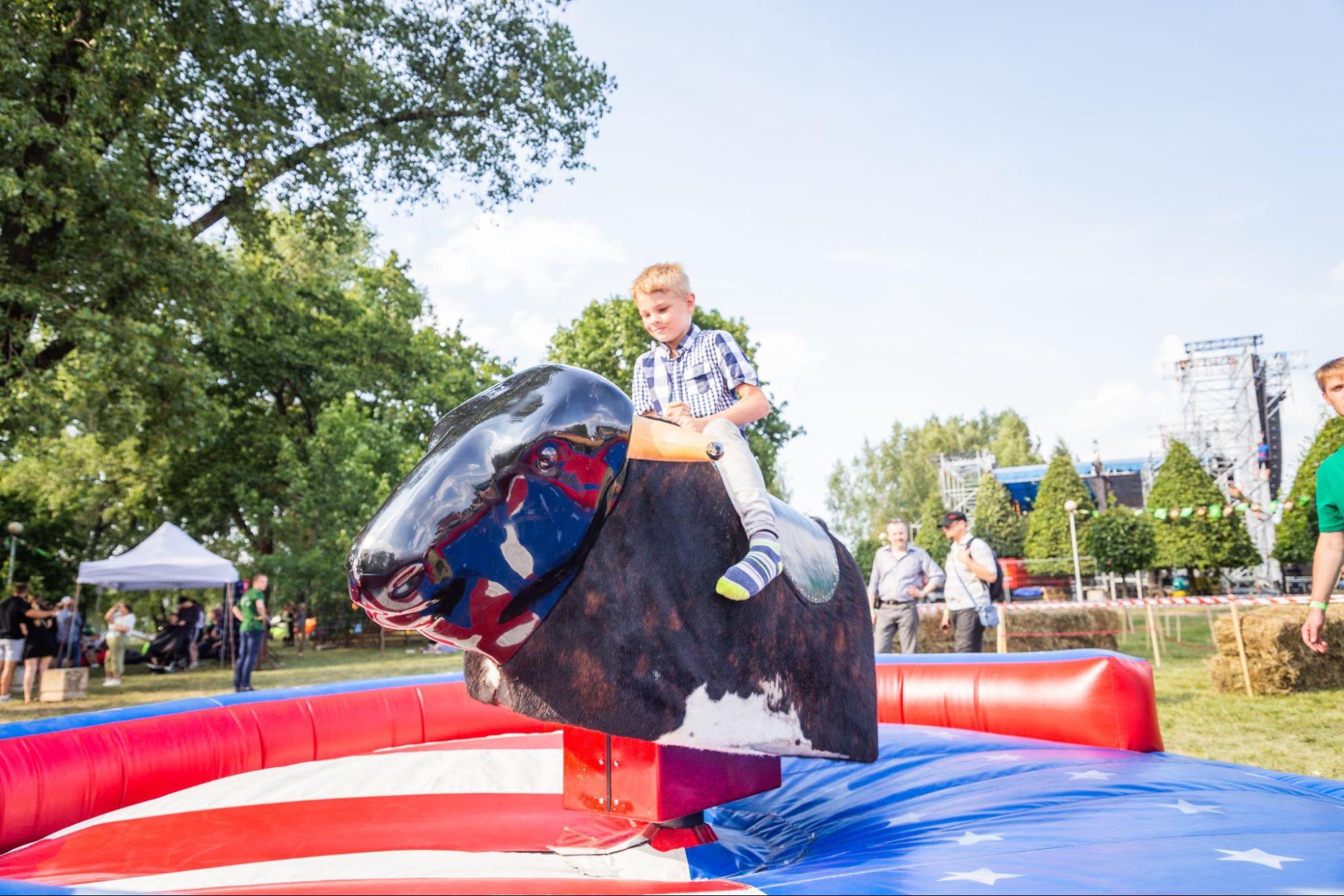 Rodeo Bull